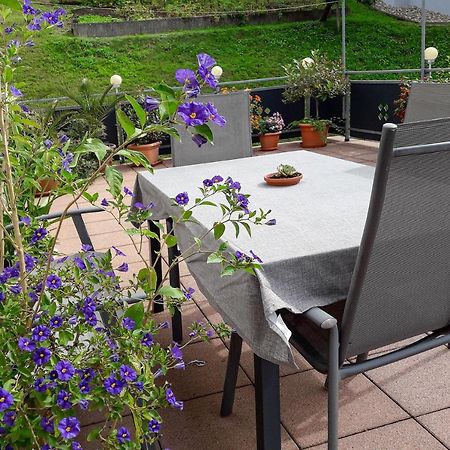 Heidi Kimmig Apartment Bad Griesbach  Екстериор снимка